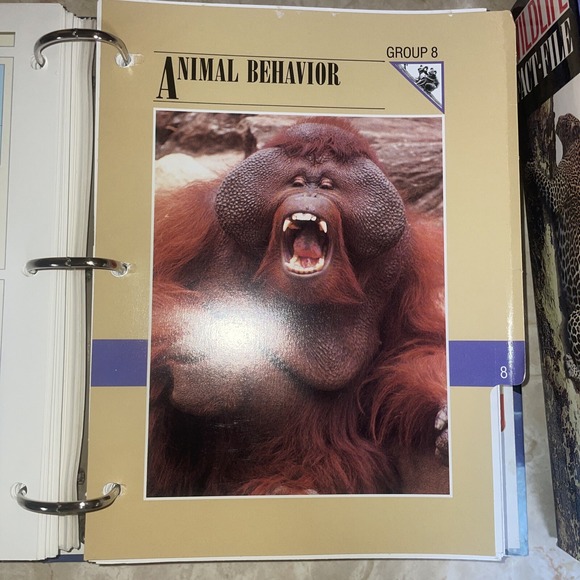 wildlife fact file Sections 6-11, Roughly 350 Cards - Picture 9 of 15